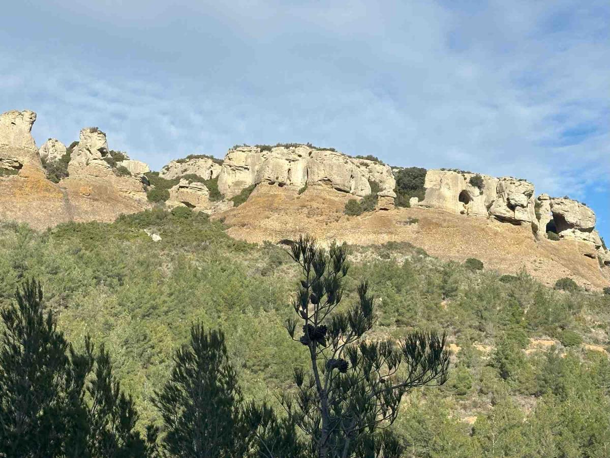 DentduChat-9