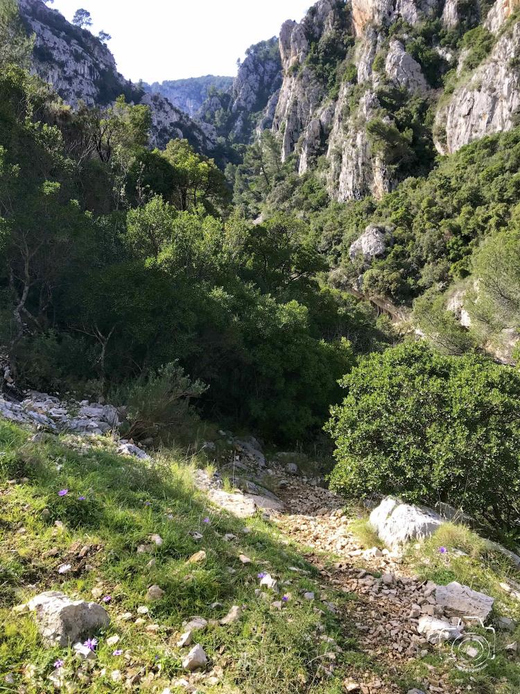 IMG0842IPHONE72025