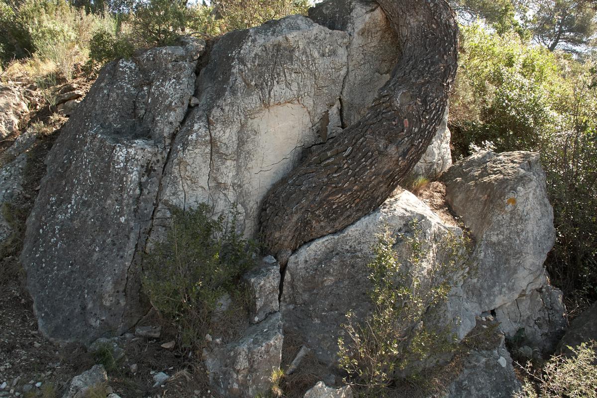 2025-Cap-Gros-Mt-Caume--3
