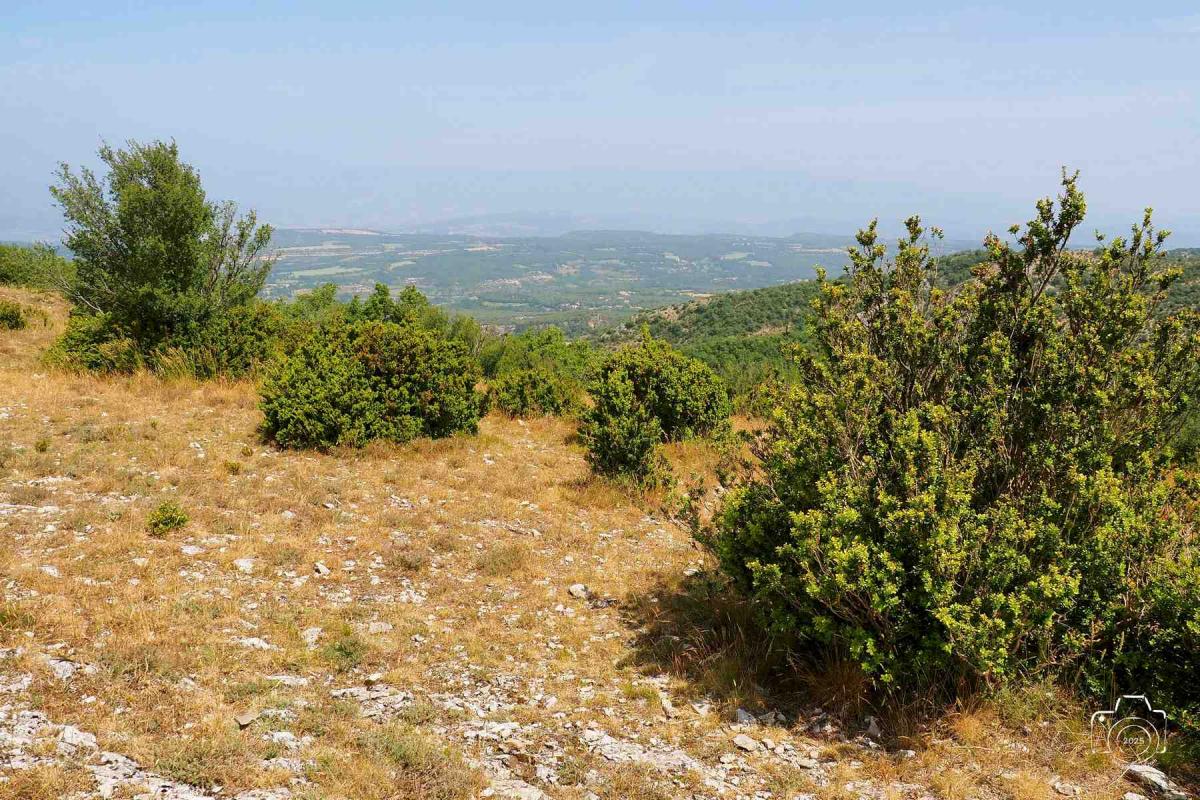 Buoux-13