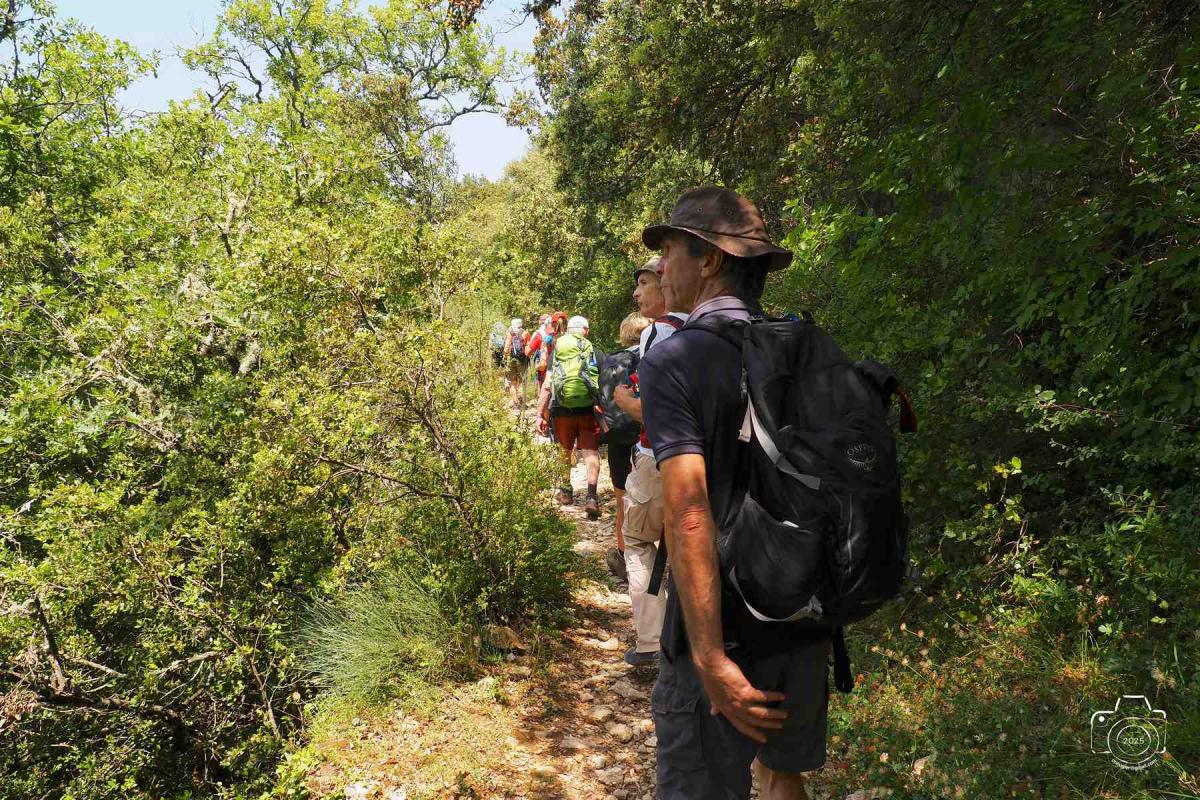 Buoux-19
