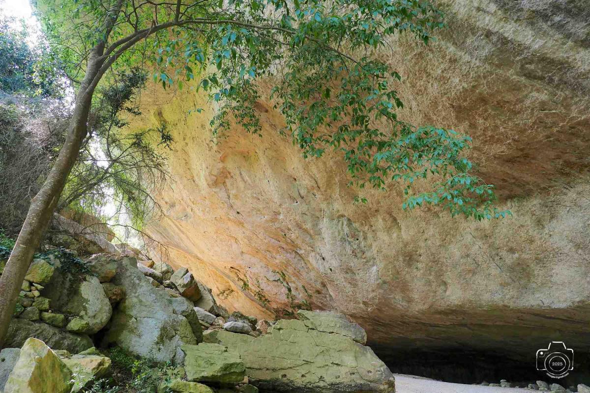 Buoux-6