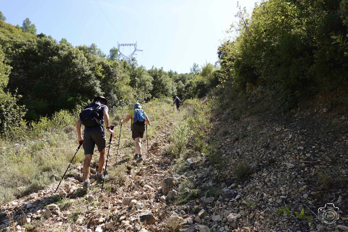 DSC03131SONYRX10072025