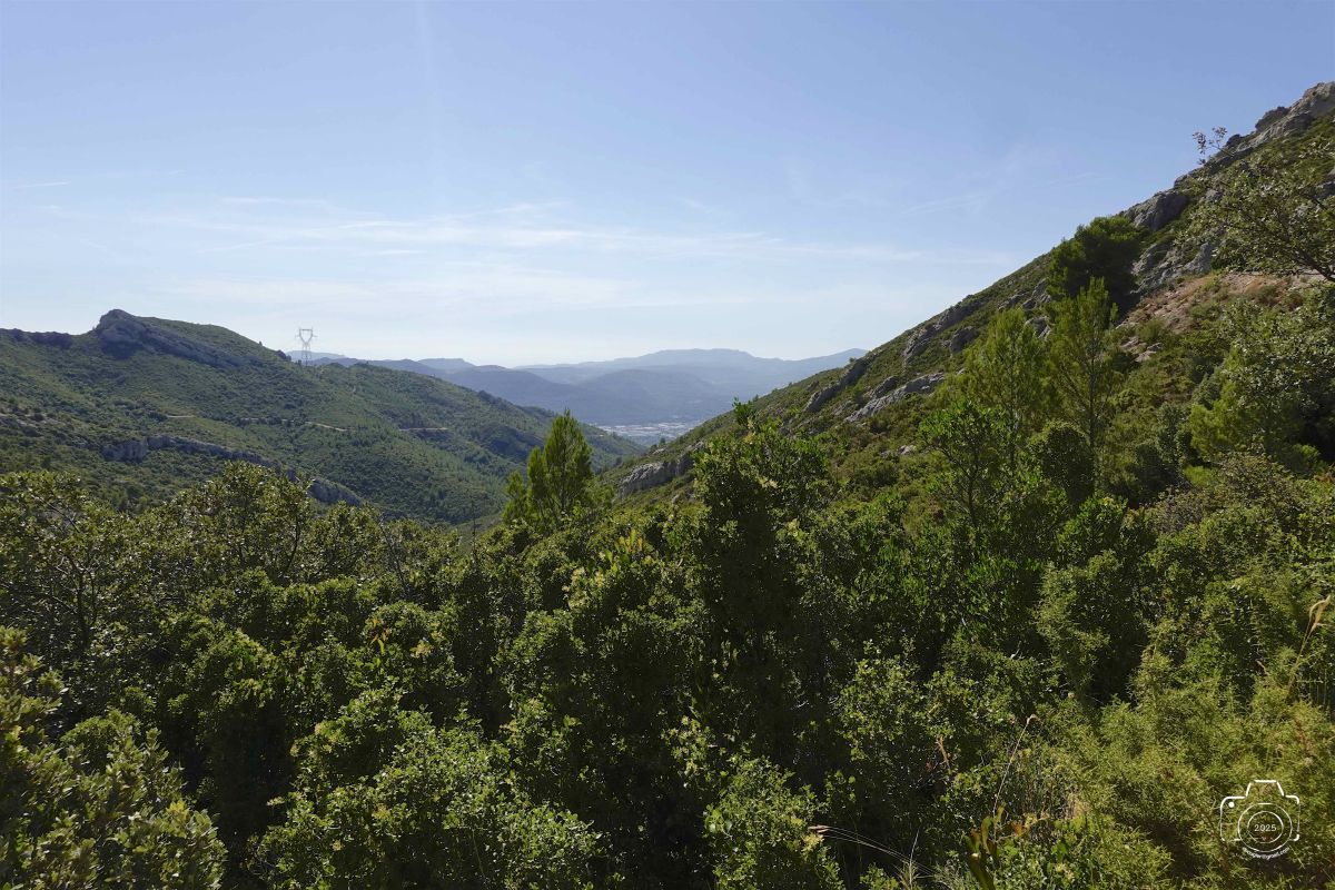 DSC03141SONYRX10072025