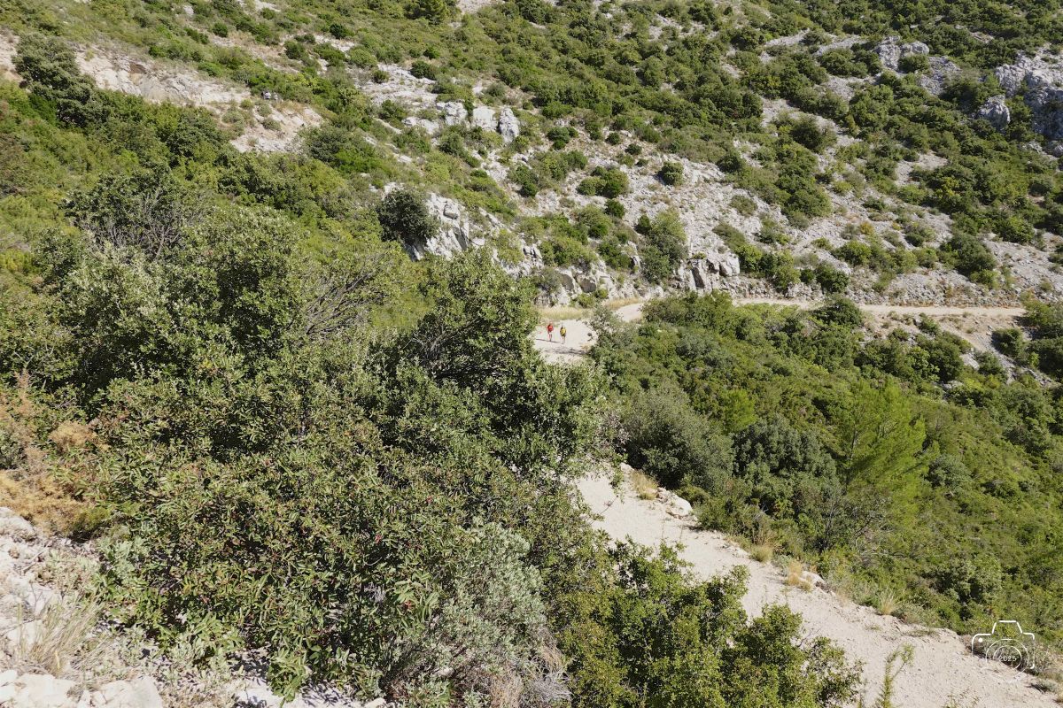 DSC03144SONYRX10072025