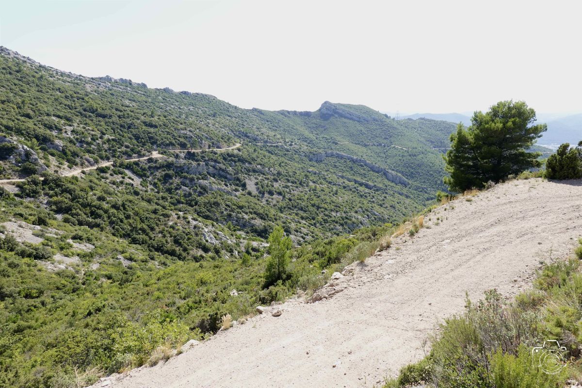 DSC03145SONYRX10072025