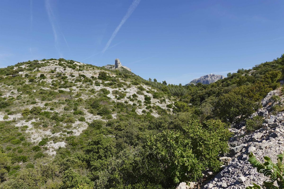 DSC03149SONYRX10072025