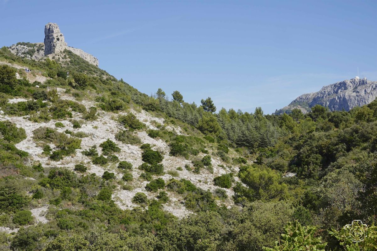 DSC03150SONYRX10072025