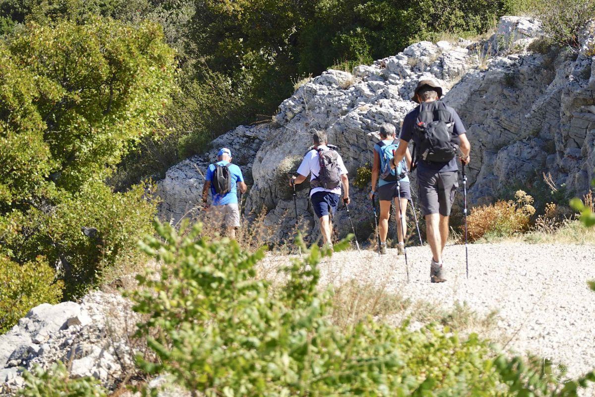 DSC03151SONYRX10072025