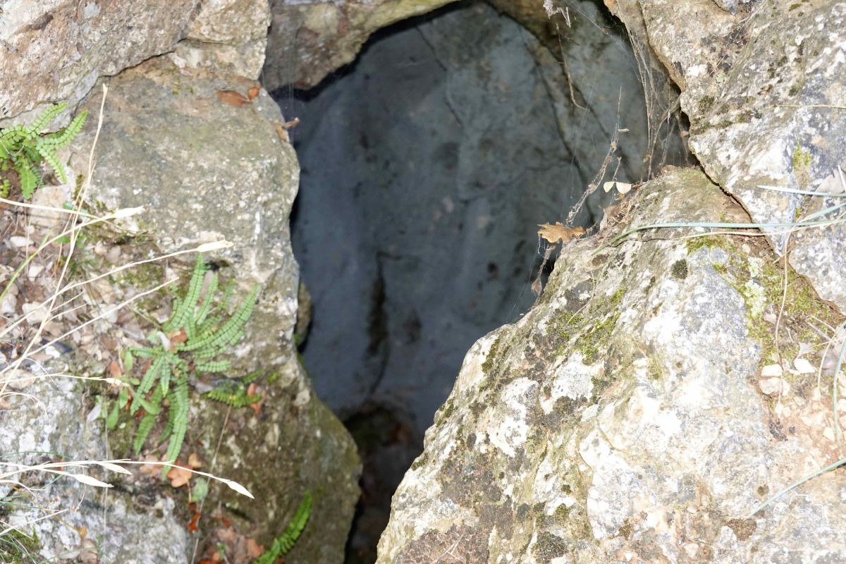 DSC03152SONYRX10072025