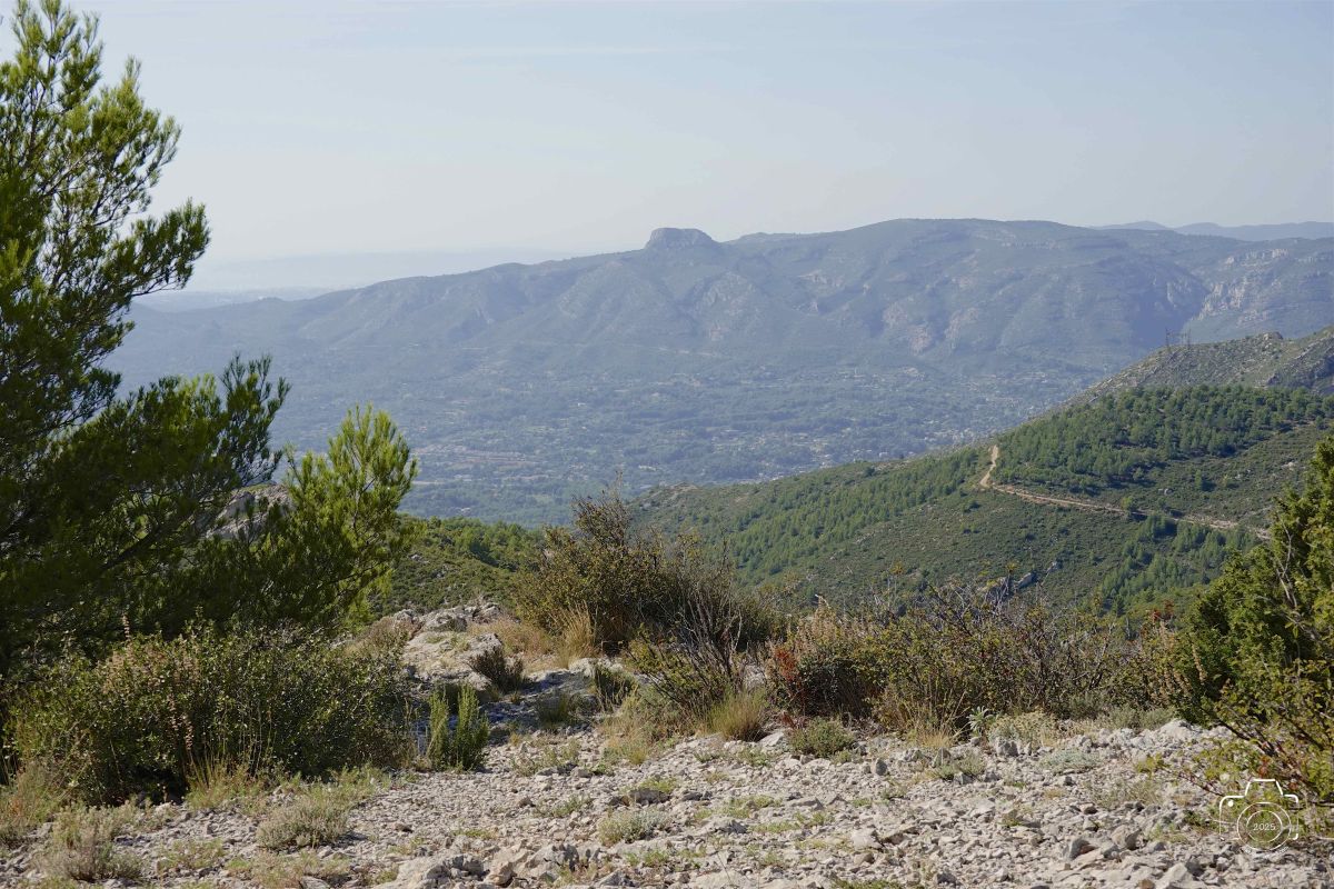 DSC03153SONYRX10072025