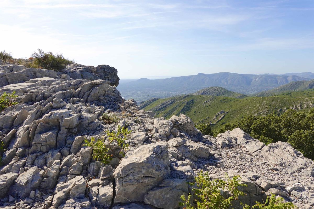 DSC03158SONYRX10072025