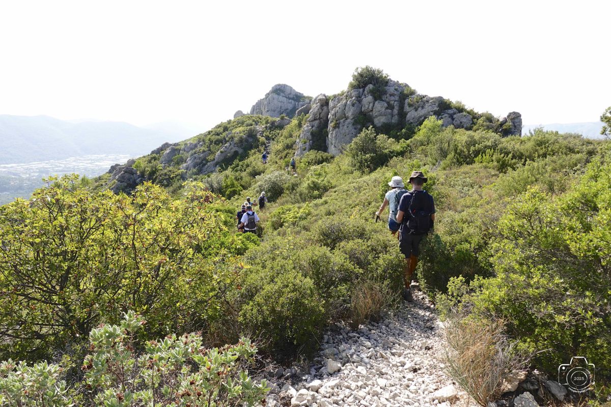 DSC03159SONYRX10072025