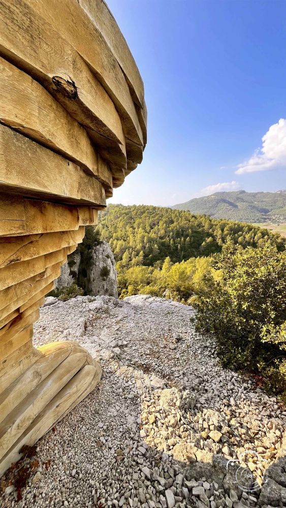 12-IMG1206IPHONE132025