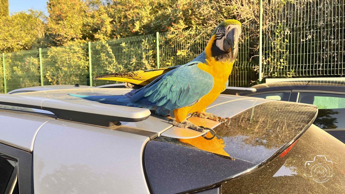 15-IMG4080IPHONE132025