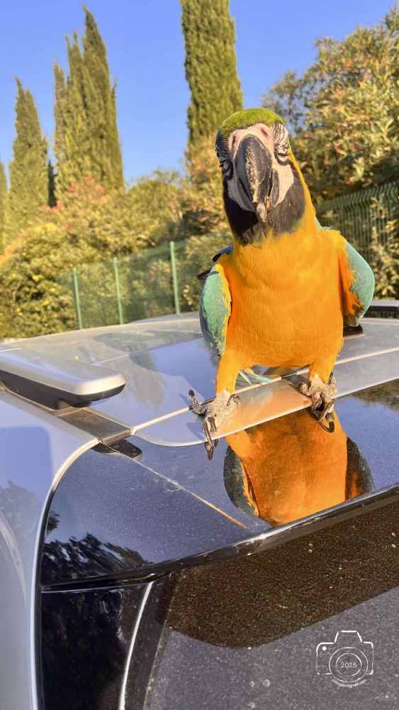 16-IMG7165IPHONE132025