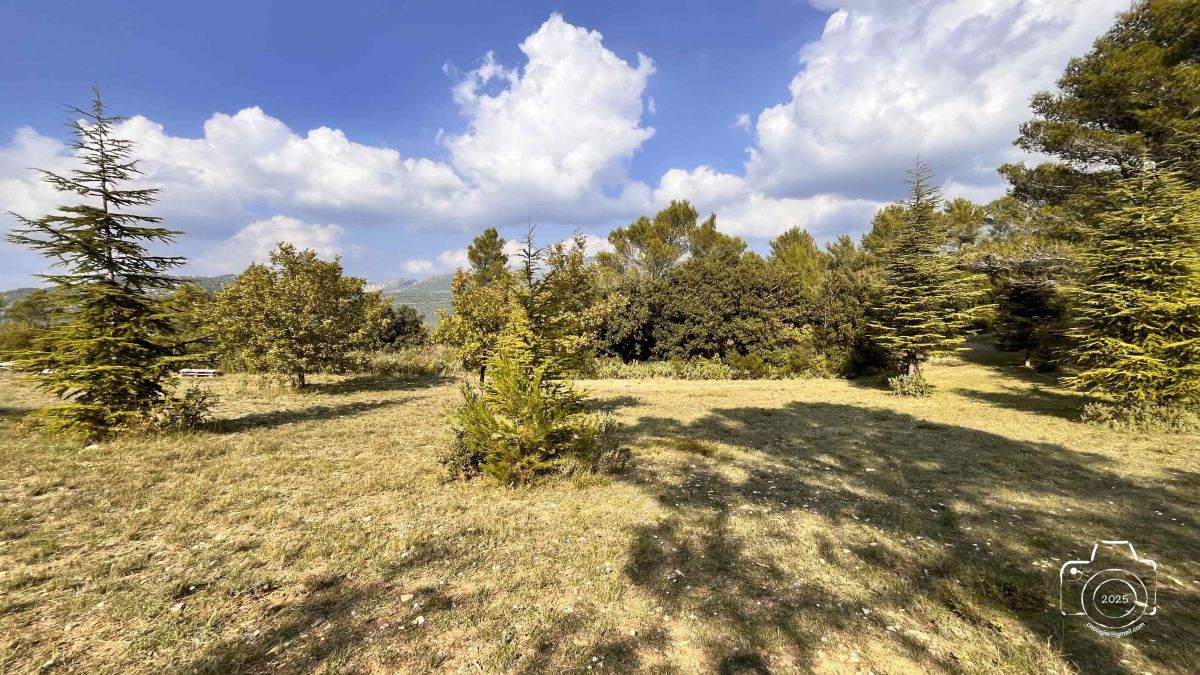 2-IMG9441IPHONE132025