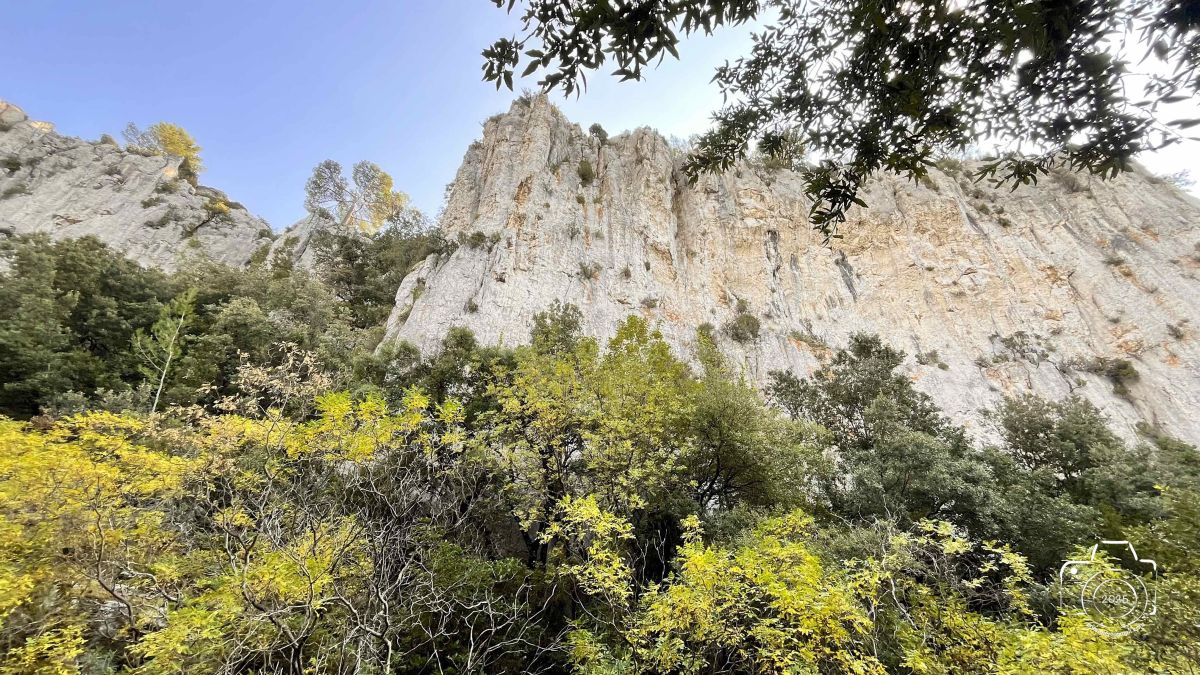 4-IMG1366IPHONE132025