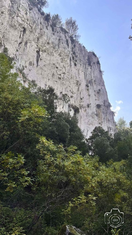 7-IMG1148IPHONE132025