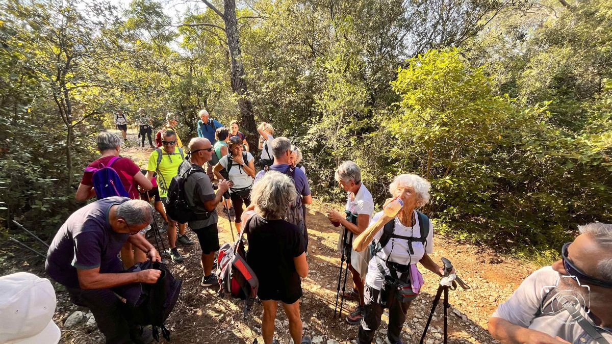 8-IMG0024IPHONE132025