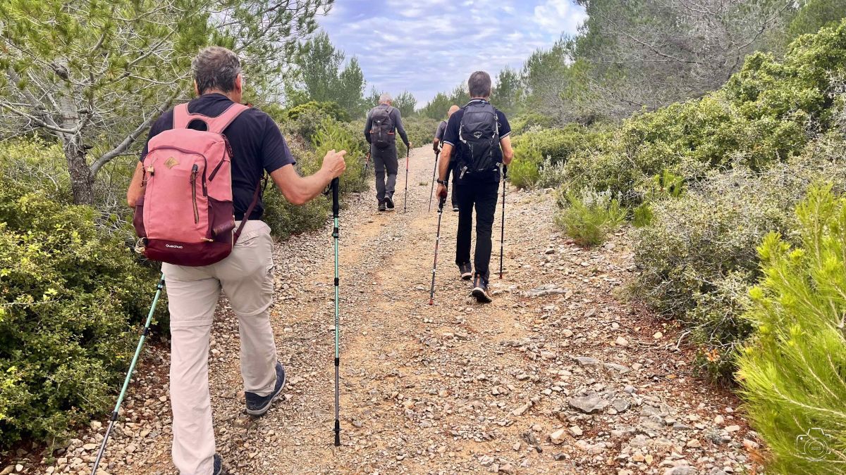 1-IMG0365IPHONE132025