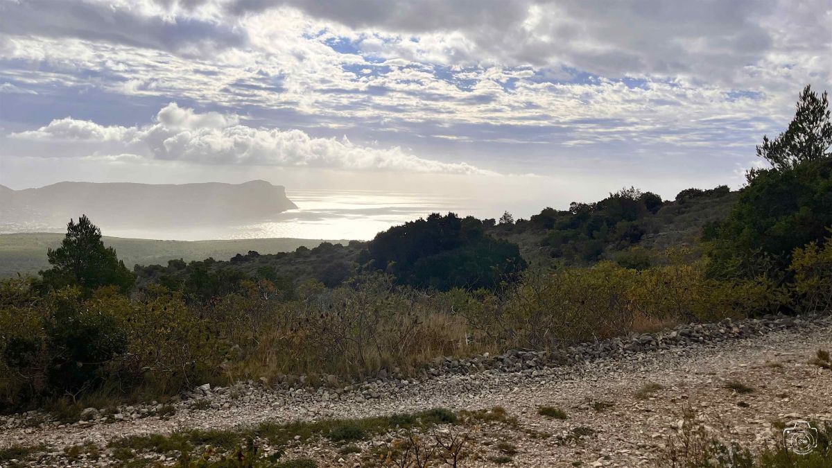 2-IMG8234IPHONE132025