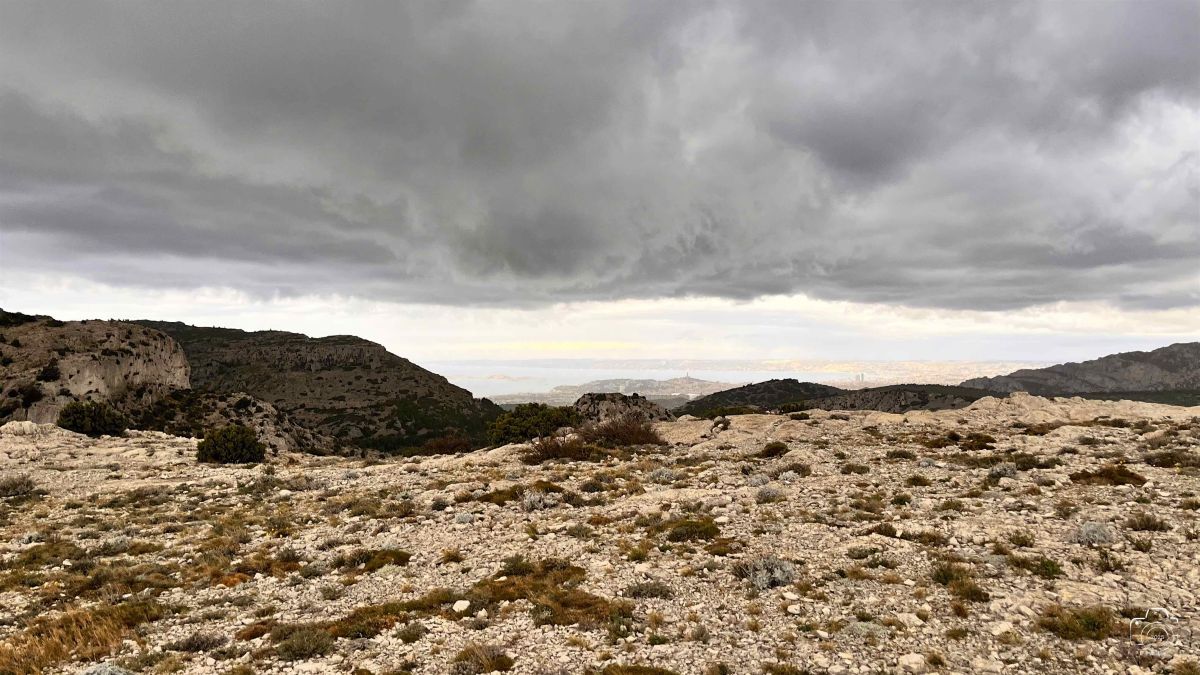 4-IMG5011IPHONE132025