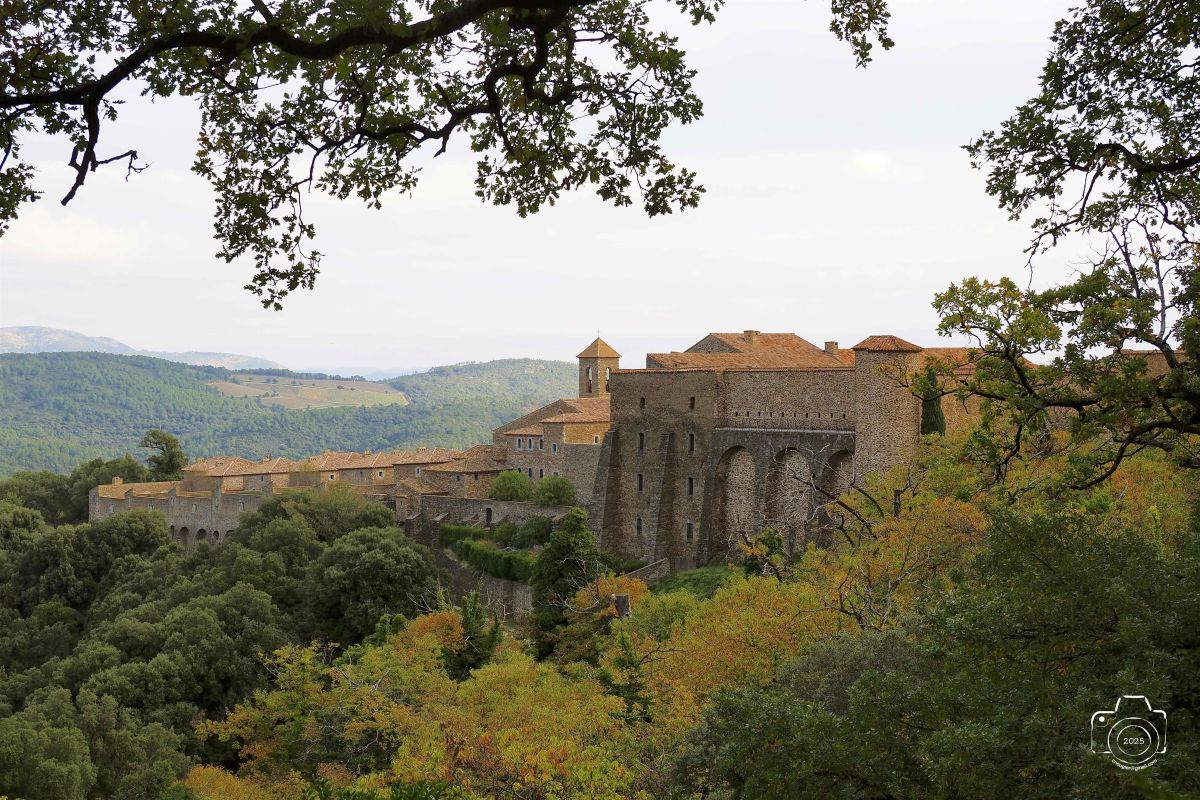 PB061011EM1MARK32025