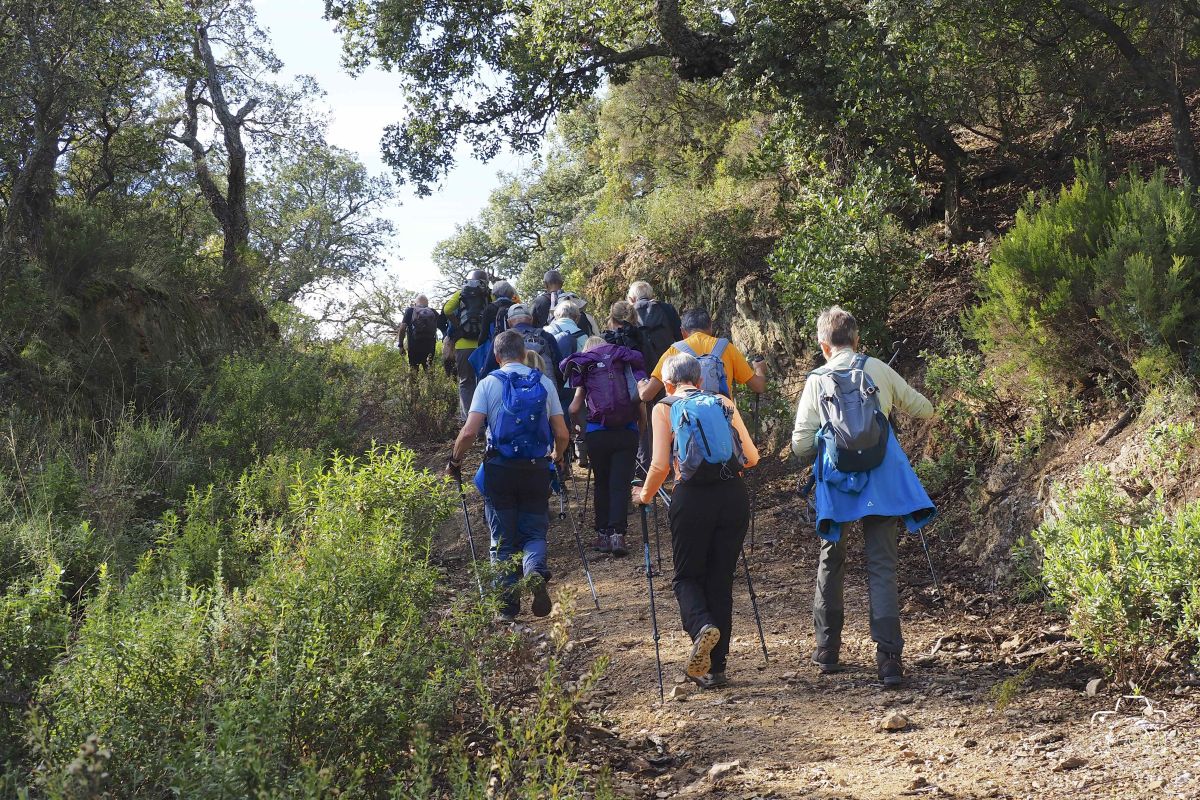 PB061012EM1MARK32025