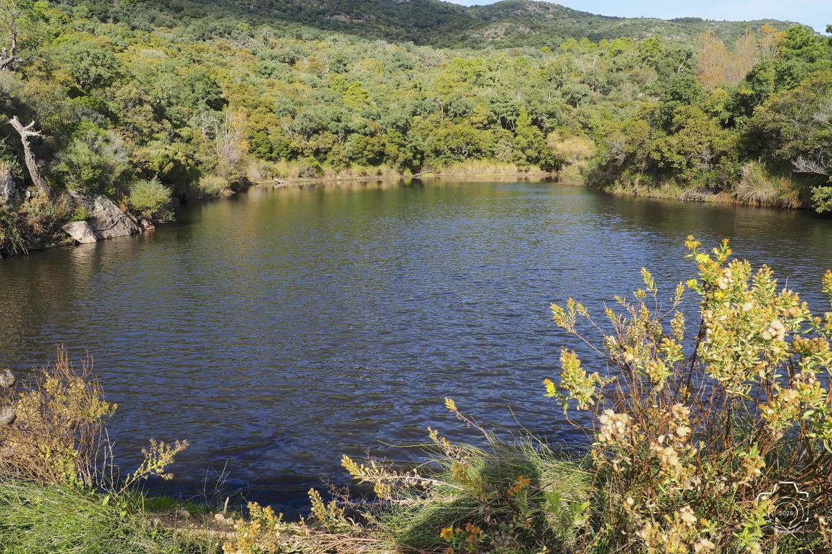 PB061017EM1MARK32025