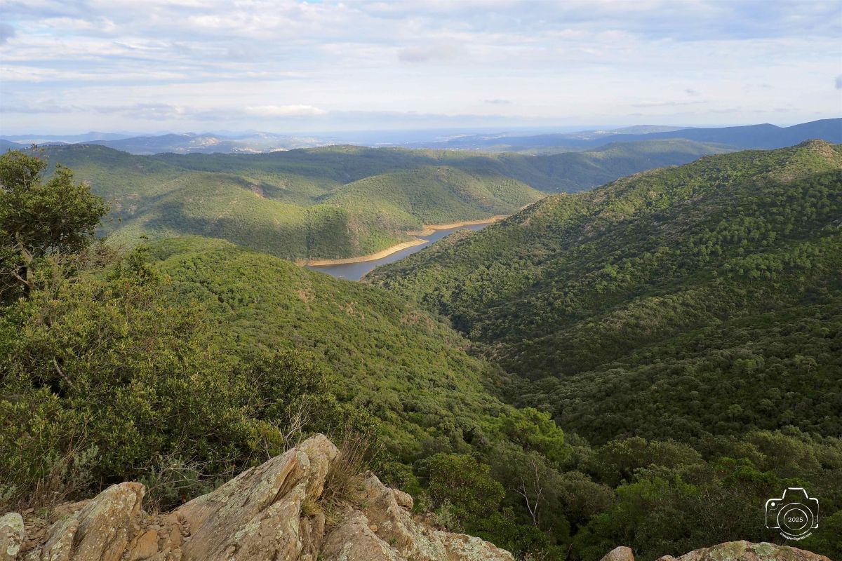 PB061022EM1MARK32025