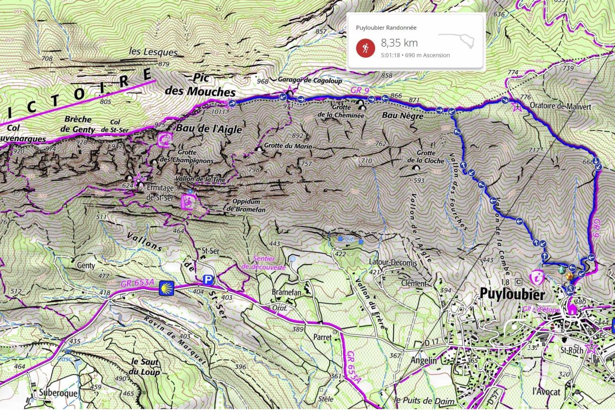 20251113SNCPIC-DES-MOUCHES-DEPUIS-PUYLOUBIER