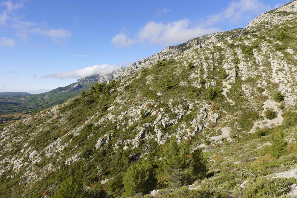 DSC03659SONYRX10072025