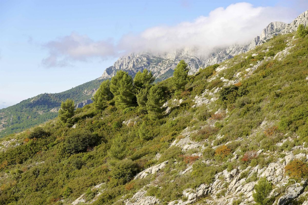 DSC03661SONYRX10072025