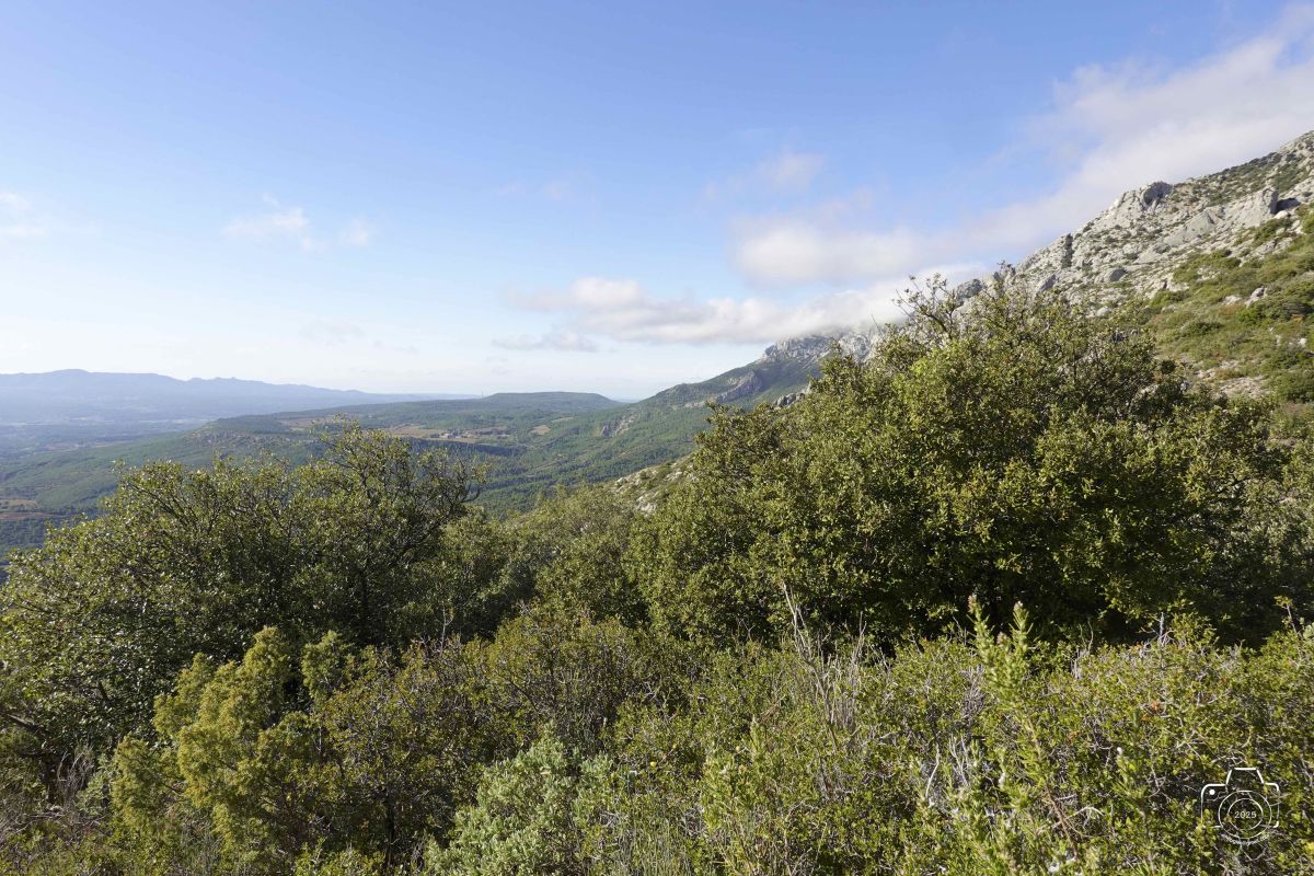 DSC03662SONYRX10072025