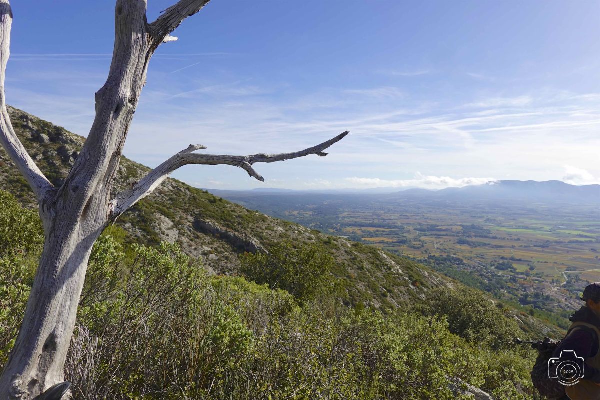 DSC03663SONYRX10072025