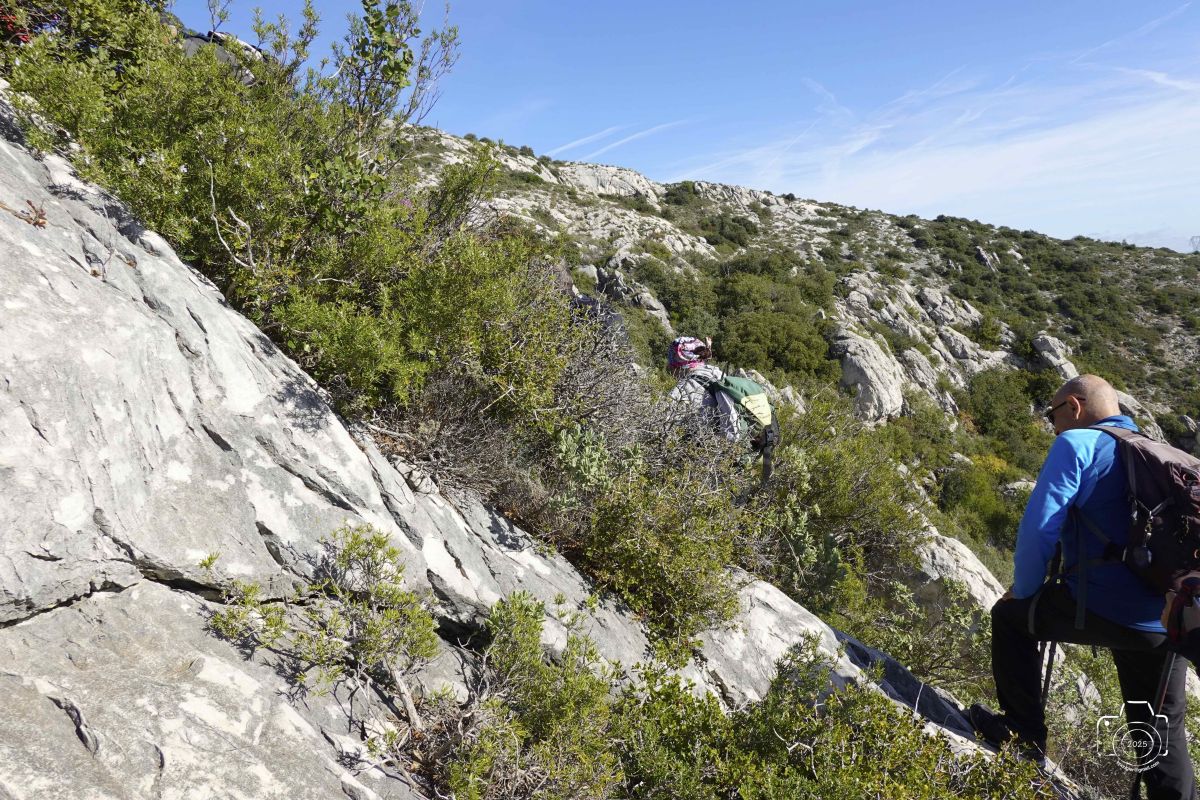 DSC03667SONYRX10072025