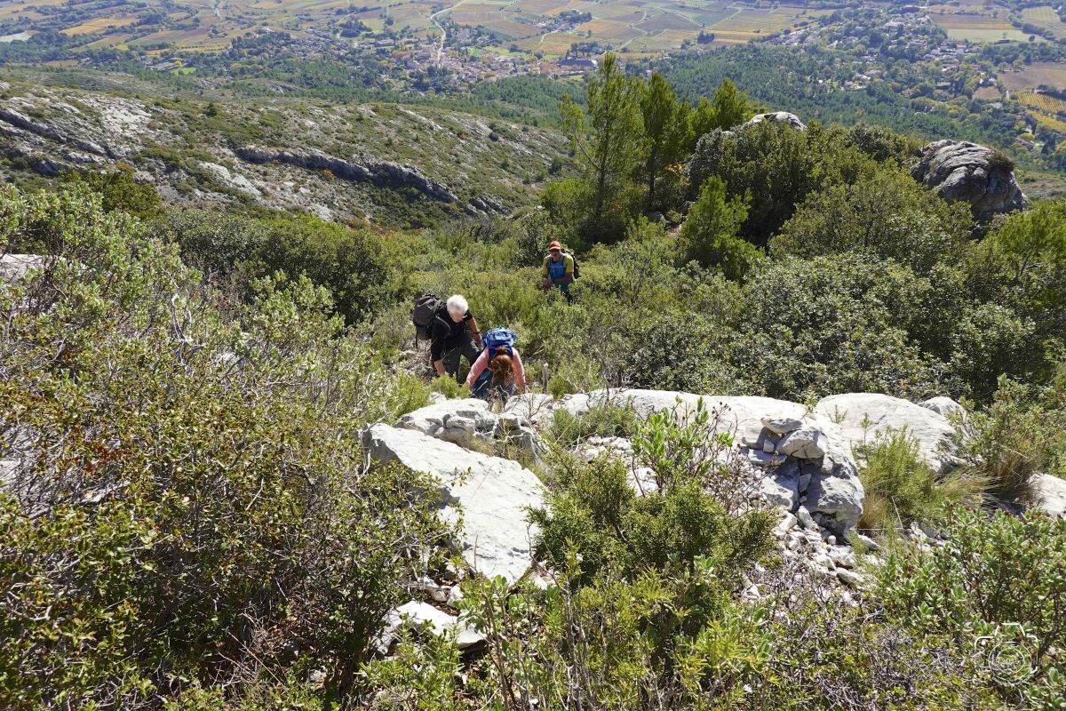 DSC03668SONYRX10072025