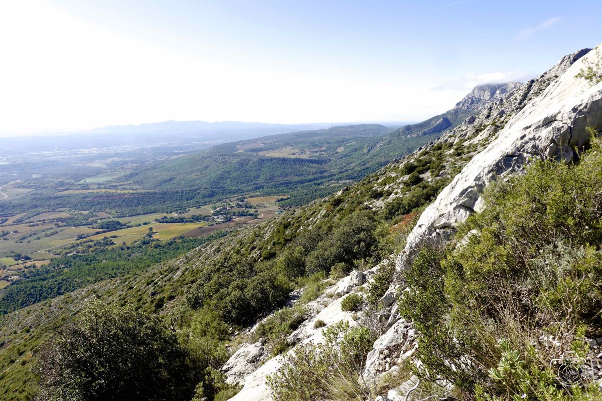 DSC03671SONYRX10072025