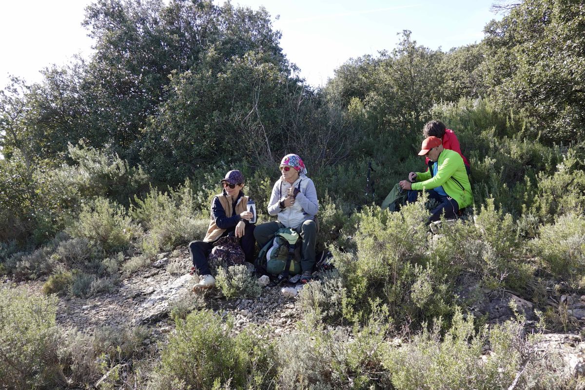 DSC03674SONYRX10072025