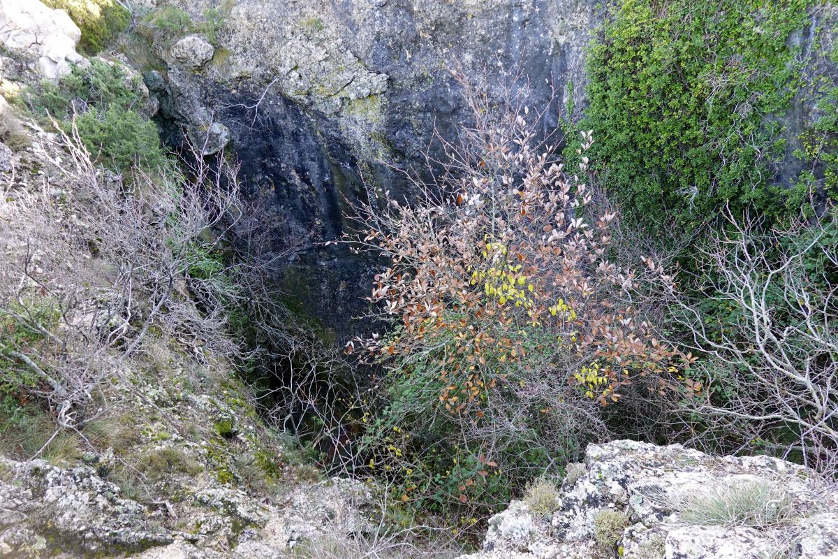 DSC03676SONYRX10072025