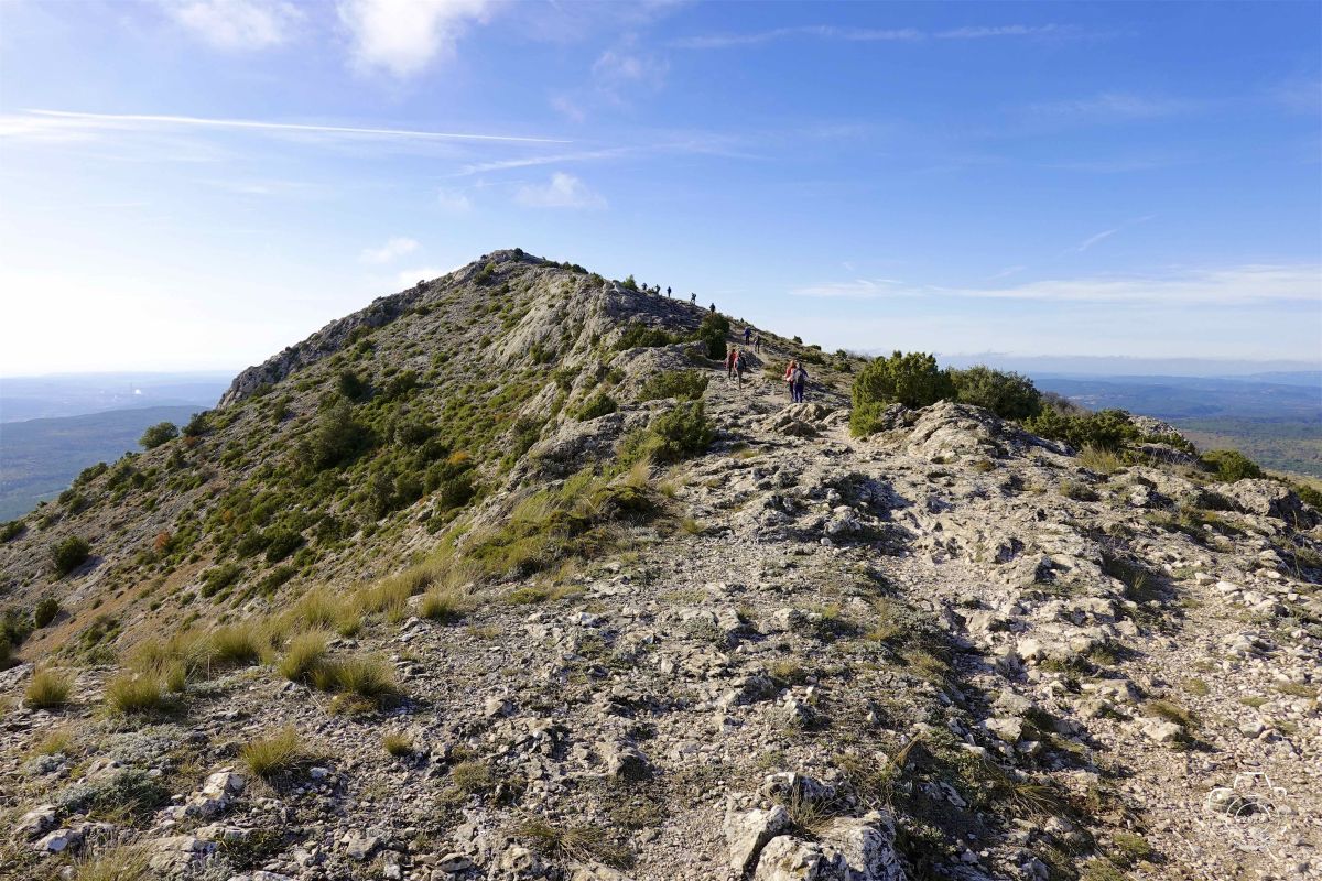 DSC03678SONYRX10072025