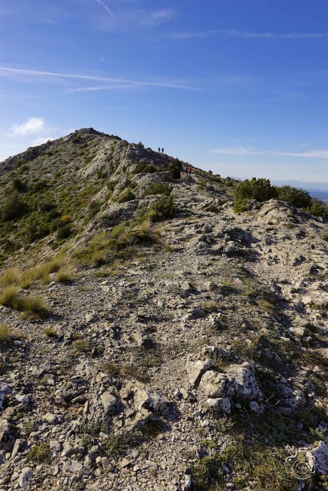 DSC03680SONYRX10072025