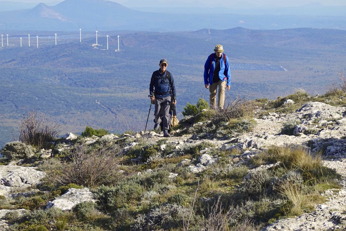 DSC03681SONYRX10072025