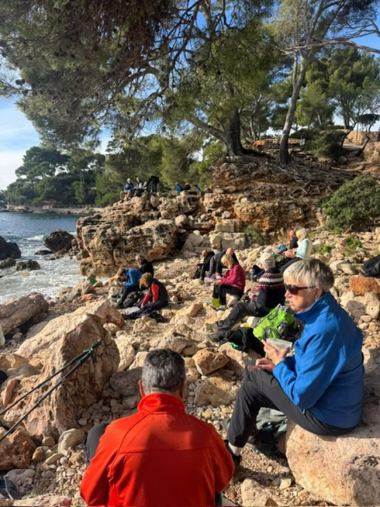 008d975c-a9b6-4b06-b2b5-b3a1d7057eff