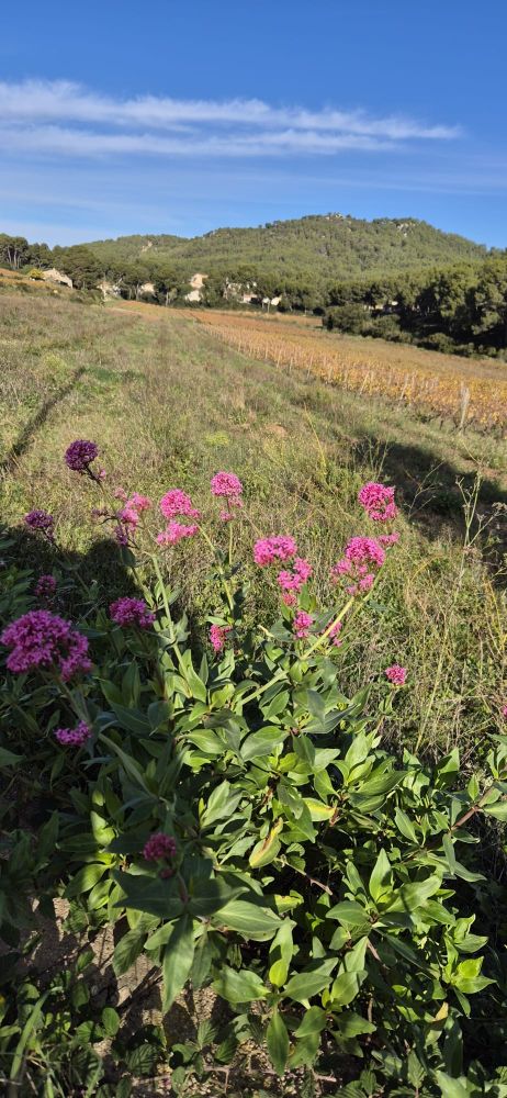 092d83d6-f07b-4512-9510-1b6e572a0bed