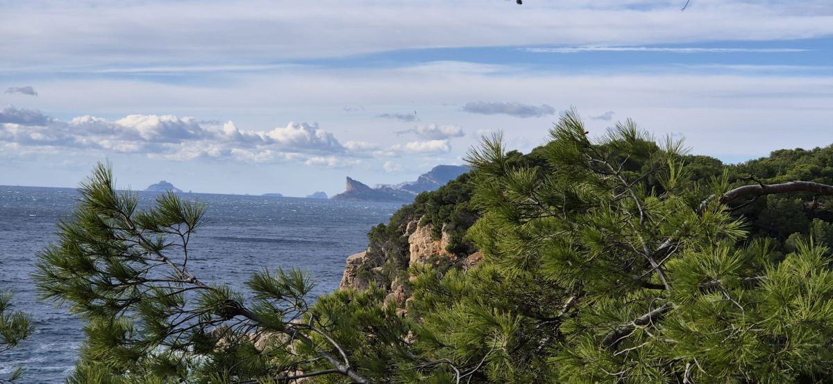 138c8a95-45a6-4ff6-b21e-7174f9721a9b