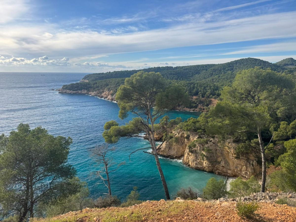 1a2b55e8-eaa3-4cbf-954d-6e5d07e0cc50