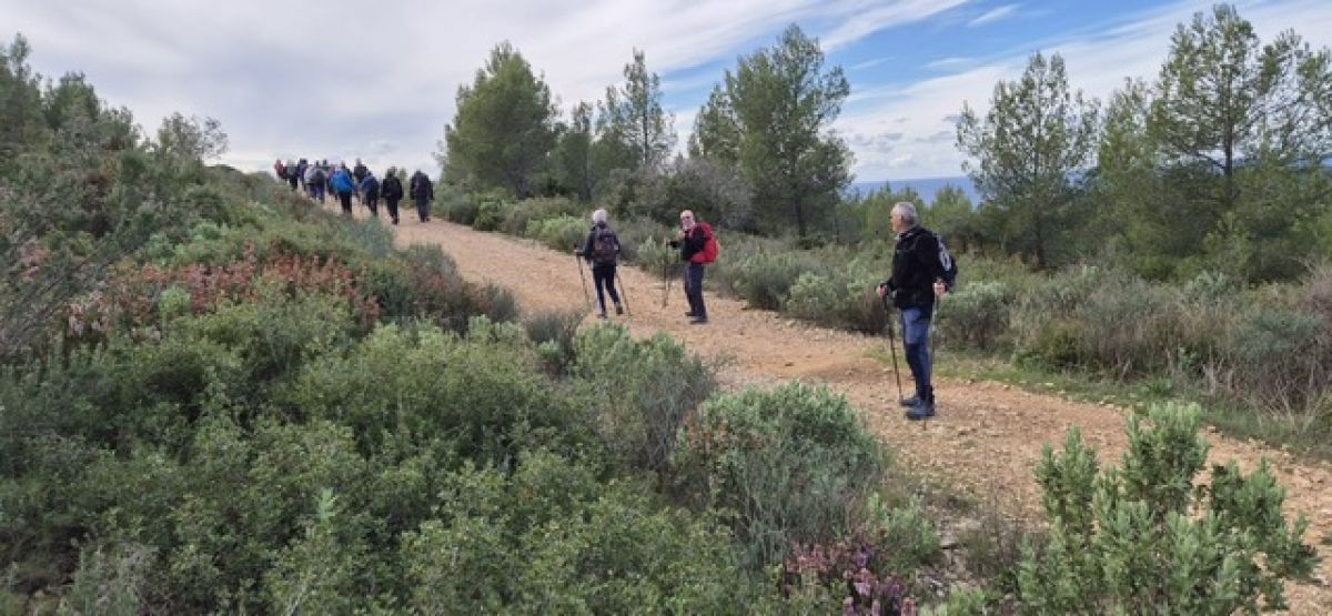 1f2a6810-0498-4214-8809-4d0d098f1aa1