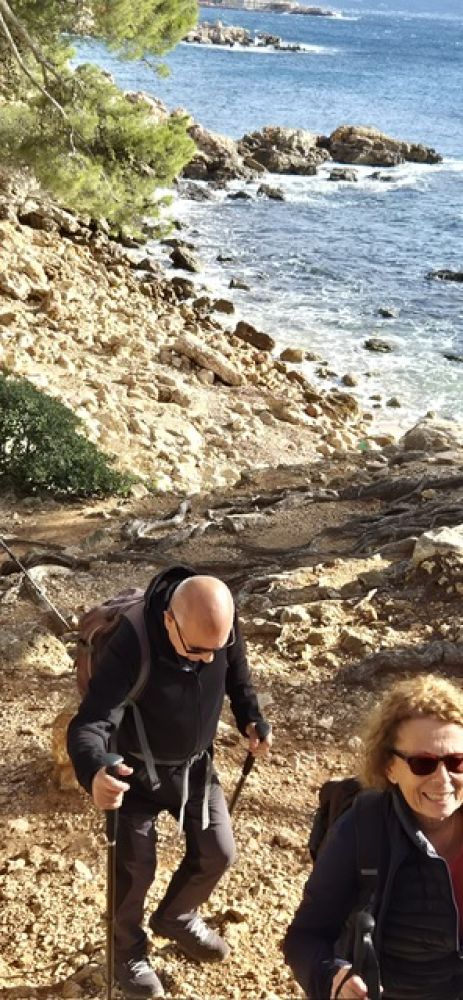 2f007884-ea7d-407d-a96c-32d37ac0bcc6